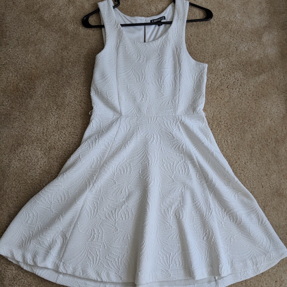 Express Skater dress